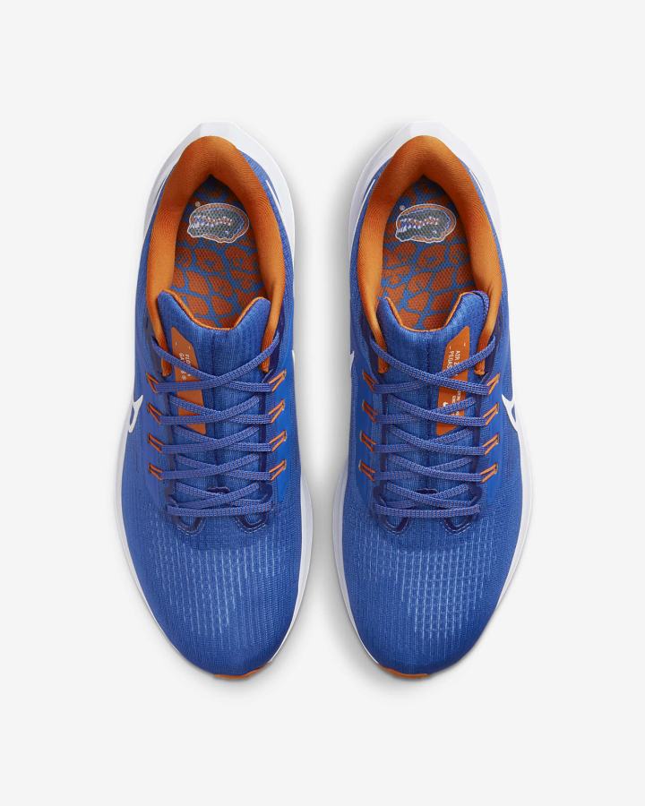 Nike Air Zoom Pegasus 39 (Clemson) Road Muške Tenisiće Kraljevska Plava Narančaste Bijele | HR-09578ESZN