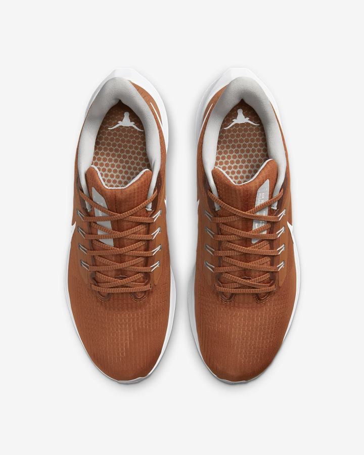 Nike Air Zoom Pegasus 39 (Clemson) Road Muške Tenisiće Narančaste Plave Sive Bijele | HR-42560USOL