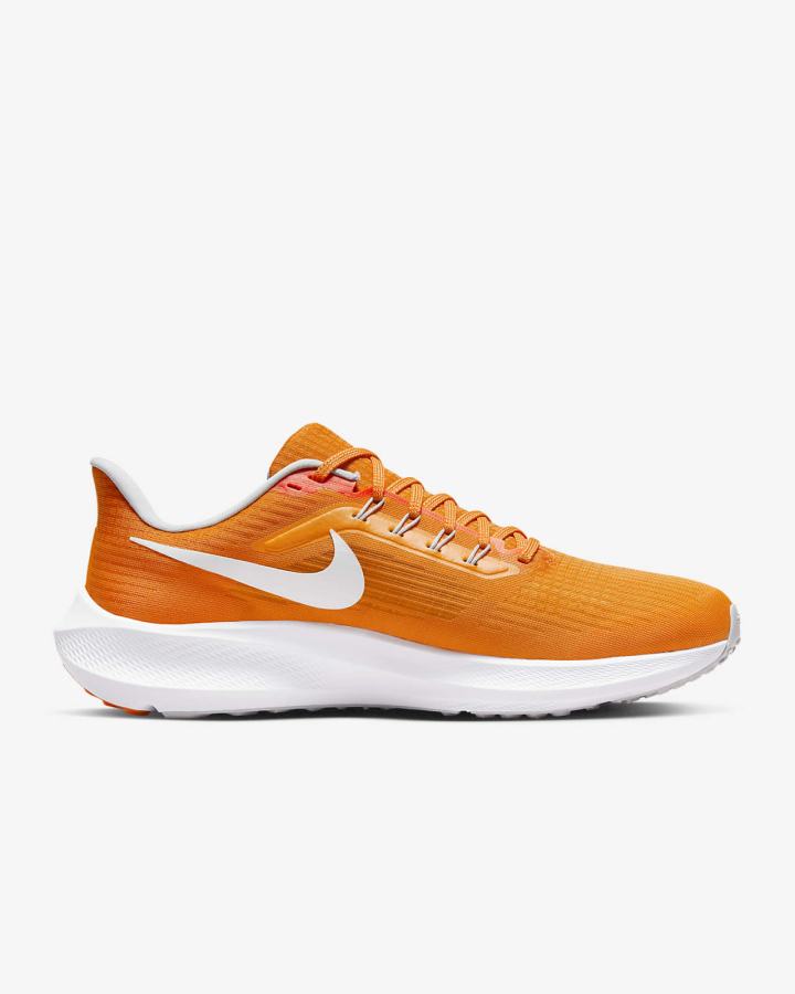 Nike Air Zoom Pegasus 39 (Clemson) Road Muške Tenisiće Plave Sive Bijele | HR-95482FQDK