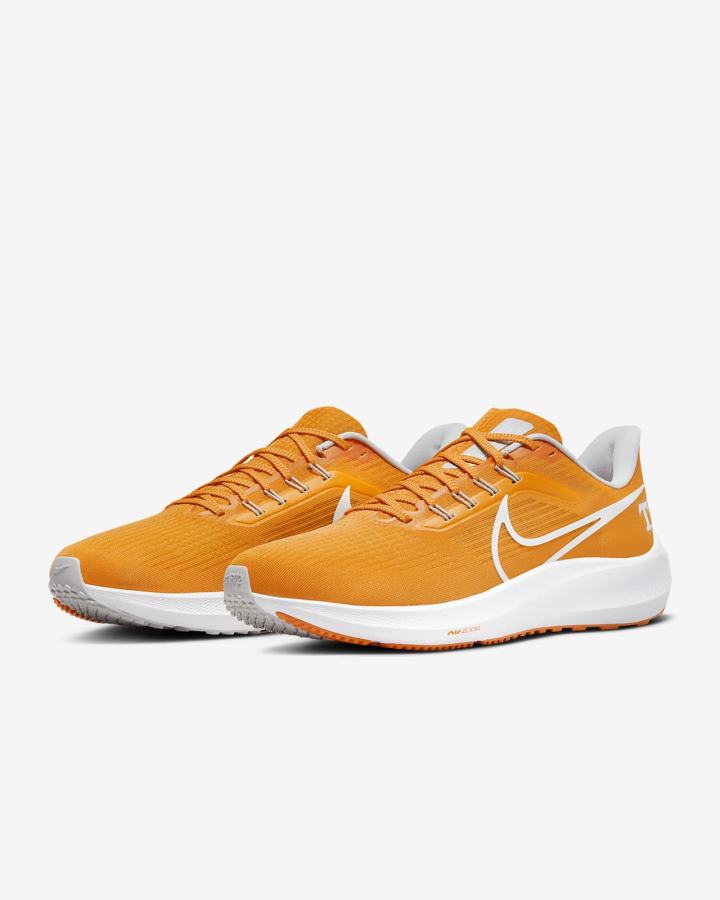 Nike Air Zoom Pegasus 39 (Clemson) Road Muške Tenisiće Plave Sive Bijele | HR-95482FQDK