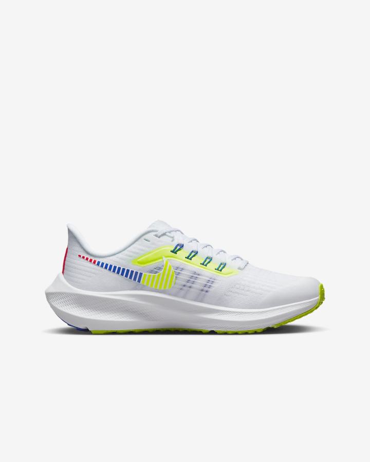 Nike Air Zoom Pegasus 39 Kids Road Za Dječake Tenisiće Bijele Plave Crne | HR-54027MRPX