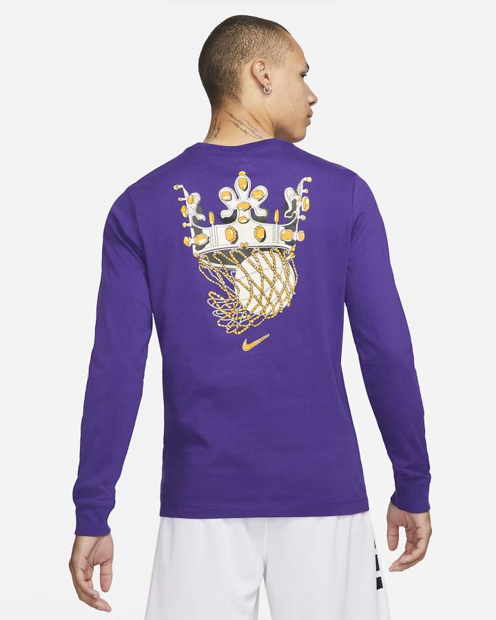 Nike LeBron SFG Long-Sleeve Muške Majice Ljubičaste | HR-30178HBNK