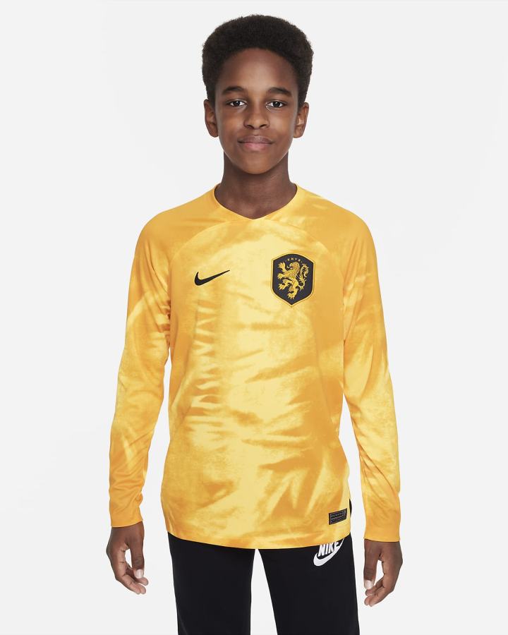 Nike Netherlands 2022/23 Stadium Home Kids Dri-FIT Long-Sleeve Soccer Za Dječake Dres Narančaste Crne | HR-34907BKLM